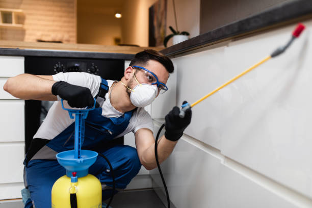 Best Flea Control Services  in North Weeki Wachee, FL