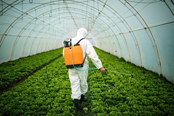 Professional Pest Control in North Weeki Wachee, FL