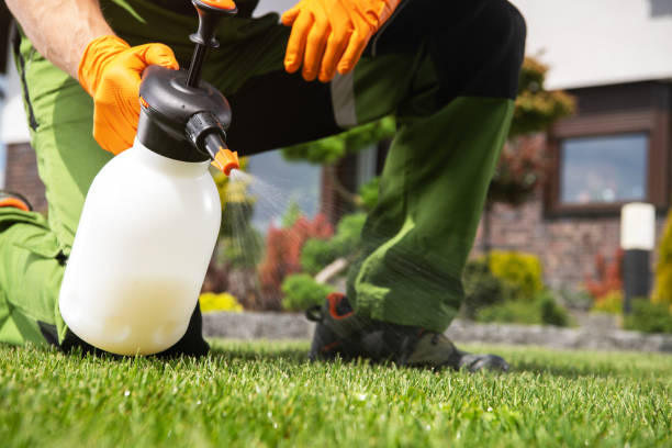 Best Commercial Pest Control Services  in North Weeki Wachee, FL