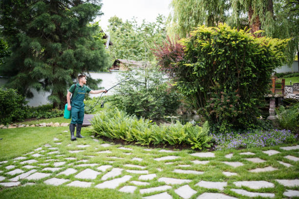 Best Affordable Pest Control Services  in North Weeki Wachee, FL