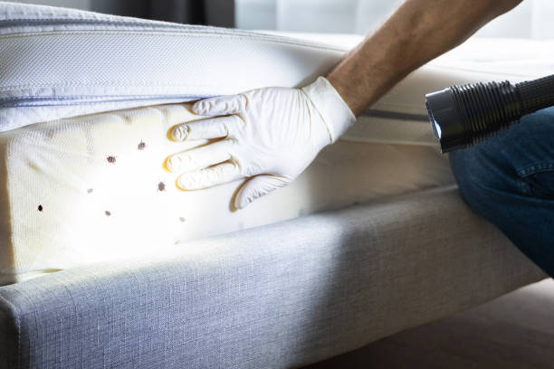 Best Best Pest Control Companies  in North Weeki Wachee, FL