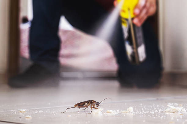 Best Bed Bug Extermination  in North Weeki Wachee, FL
