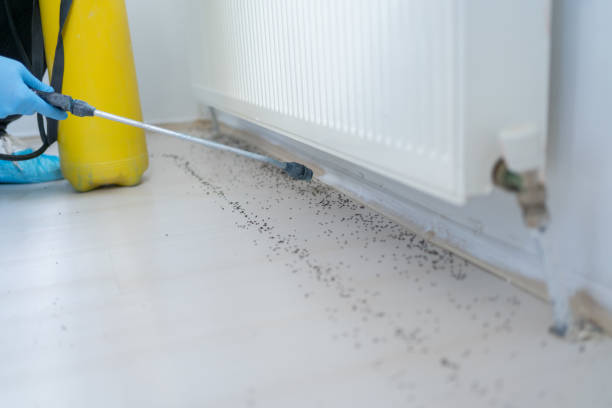 Best Pest Inspection Near Me  in North Weeki Wachee, FL