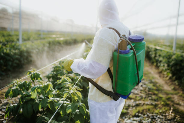 Best Residential Pest Control  in North Weeki Wachee, FL